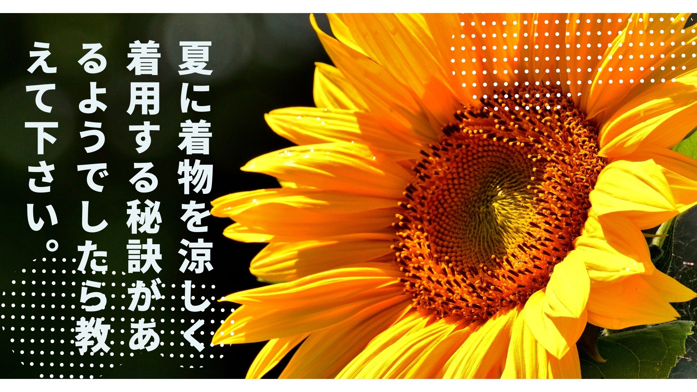 夏に着物を涼しく着用する秘訣があるようでしたら教えて下さい。